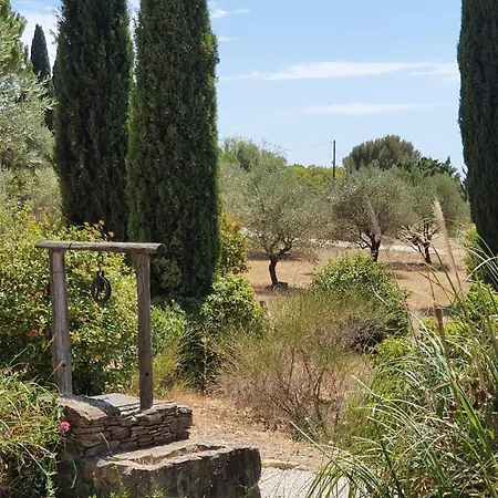 Terres Du Baguier * Ceyreste