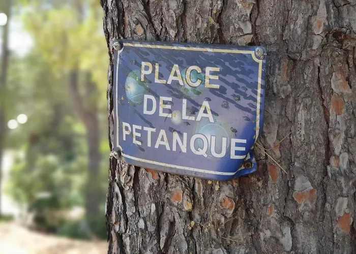 Terres Du Baguier *