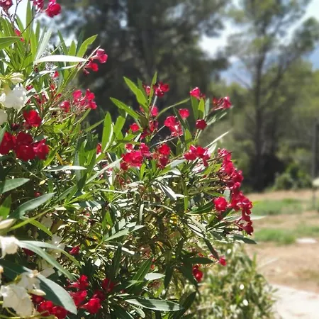 Terres Du Baguier Tatil Evi *