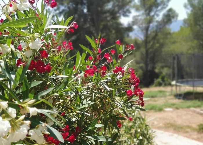 Terres Du Baguier Dom wakacyjny *